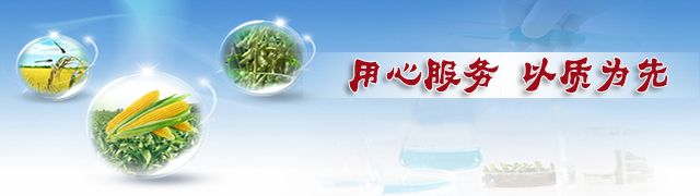 91视频黄片下载缓释肥用心服务，以质为先