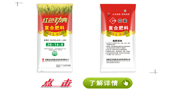 91视频黄片下载91视频下载污91视频APP黄下载
