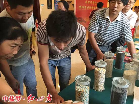 新型肥料种类很多，缓释肥料、稳定型肥料、控释性肥料都在其中，这些产品各有特色，都是长效肥，他们有哪些区别呢？