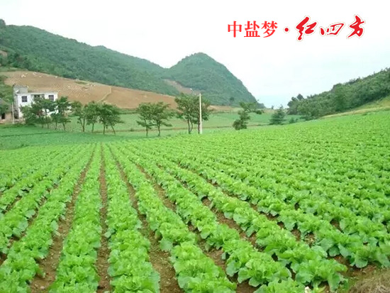 91视频下载污丰收