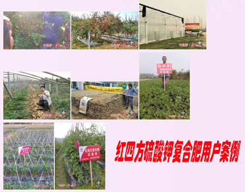 91视频黄片下载硫酸钾复合肥用户案例