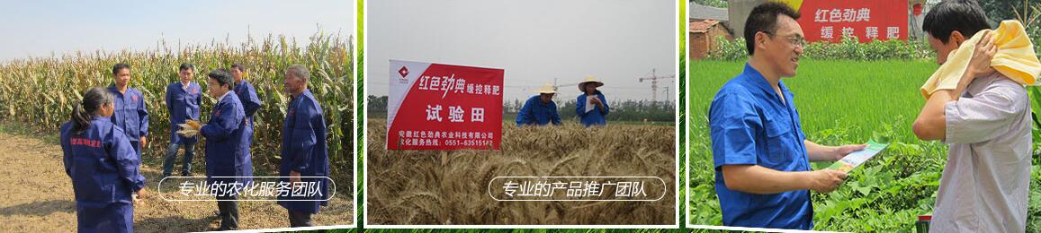 91视频黄片下载91视频APP黄下载