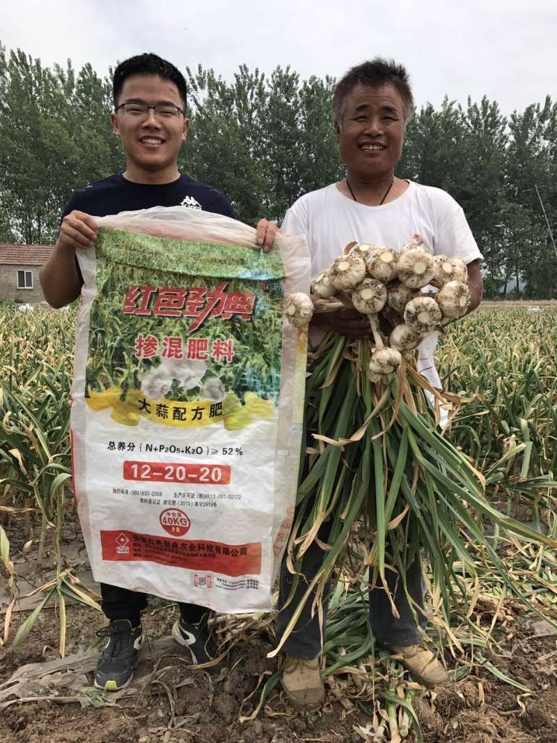 种植大蒜新主张，91视频黄片下载大蒜配方肥