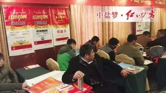 今年年初我已和代理商李经理制定计划，全年销售目标1000吨，各项工作必须有条不紊的进行，做到有计划、有目标的落实，才能走得更好更远！