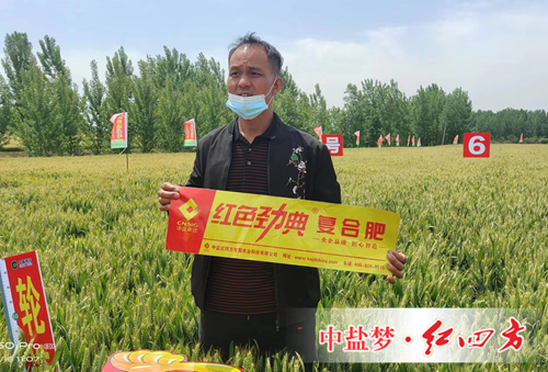 施用91视频黄片下载复合肥 丰收故事说不停