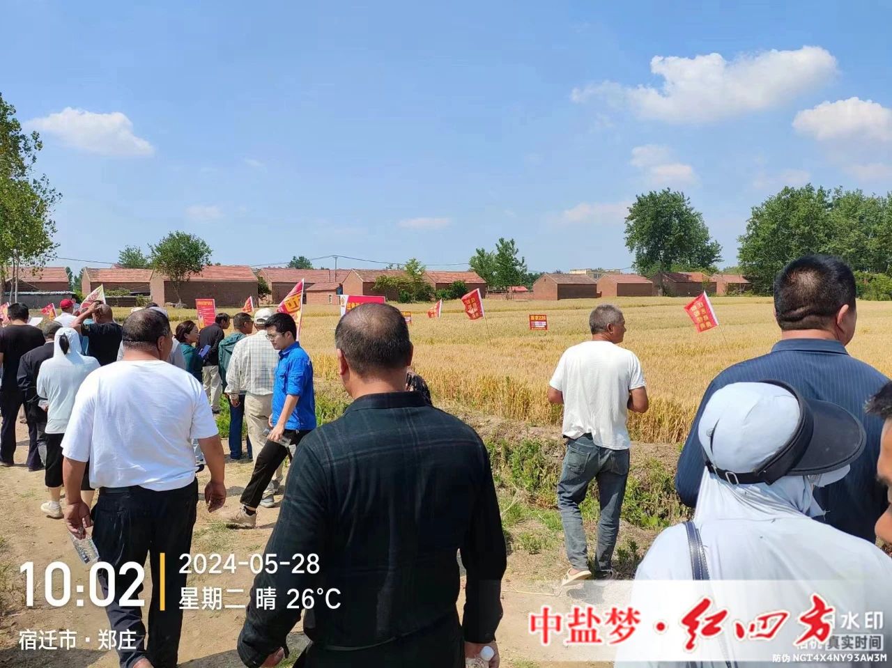 91视频黄片下载劲聚天91视频下载污专用肥为91视频下载污丰收助力