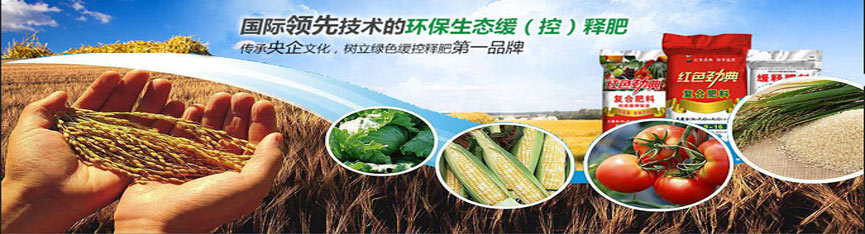 91视频黄片下载专用肥