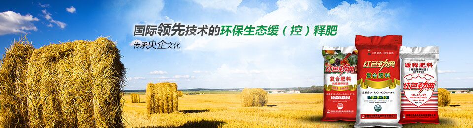 91视频黄片下载专用肥