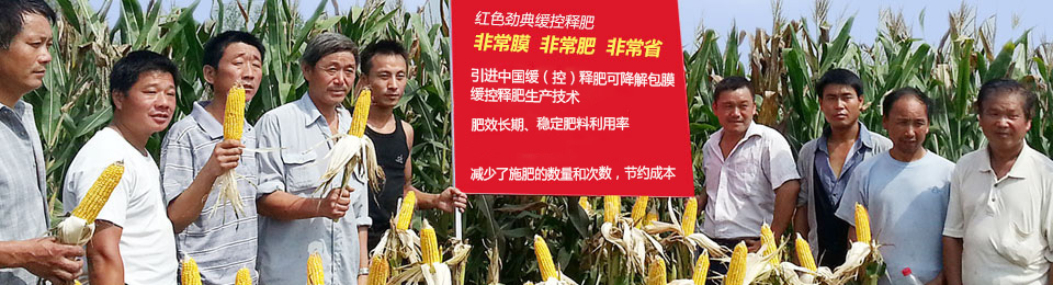 91视频黄片下载缓释肥，国际领先技术