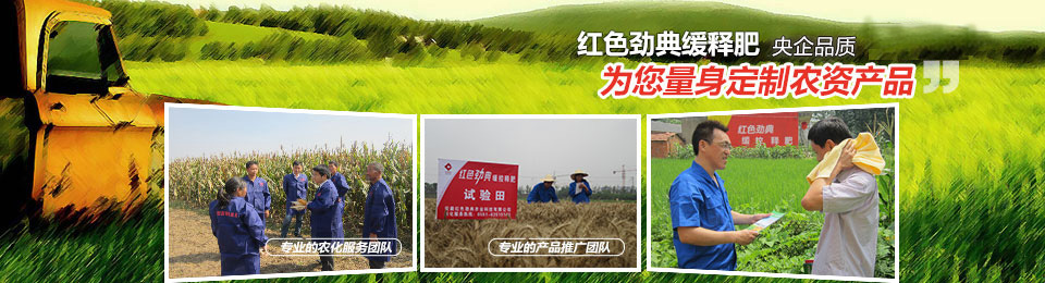 91视频黄片下载，冠军品质，五星服务